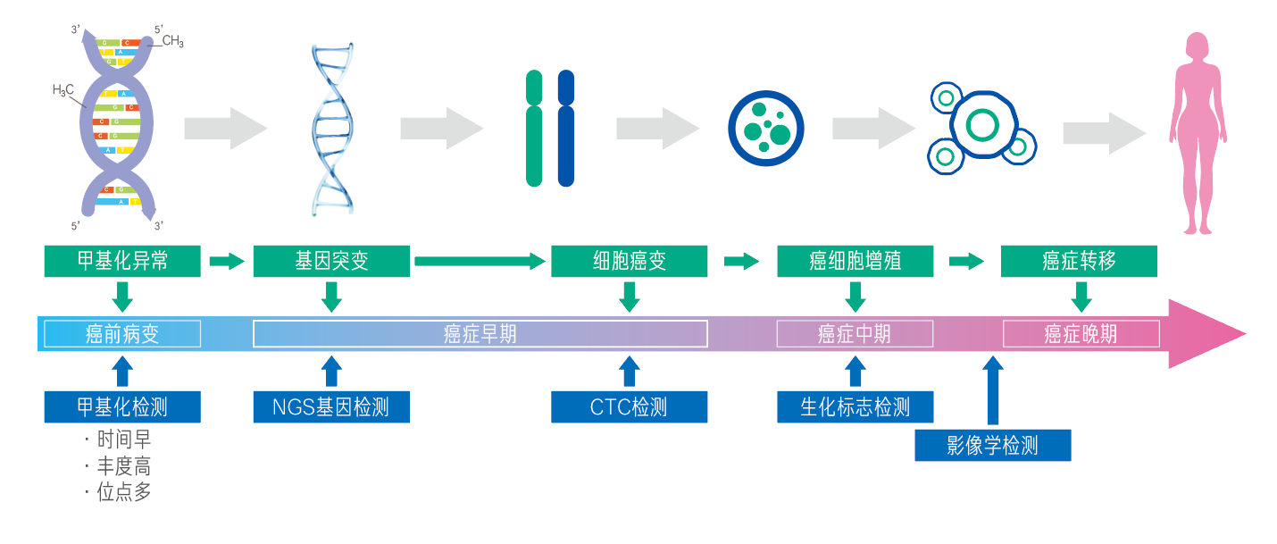 微信图片_20250121150137_副本.png