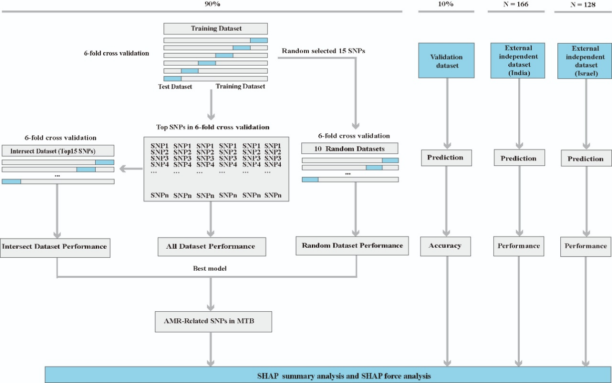 1758269901257257.png 2.png