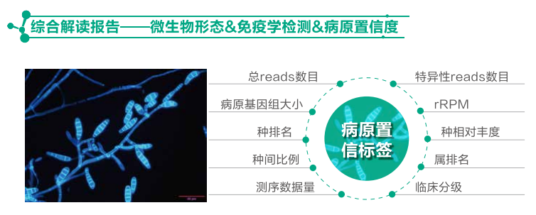 1762222214740593.png 14.png